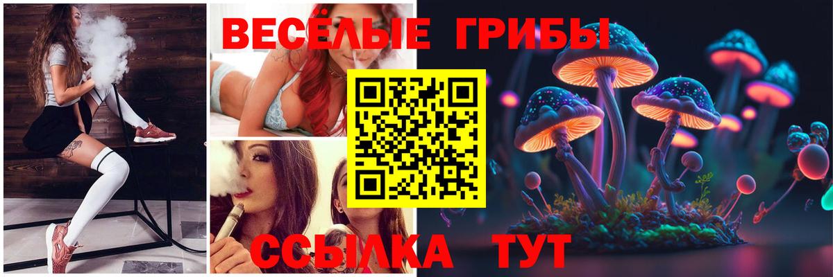 Галлюциногенные грибы Psilocybine cubensis  Вход с VPN  Галлюциногенные грибы MAGIC MUSHROOMS  Волгоград 